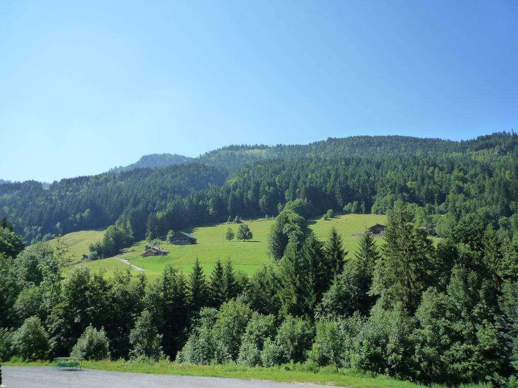Aravis Locations Apartman Le Grand-Bornand Kültér fotó